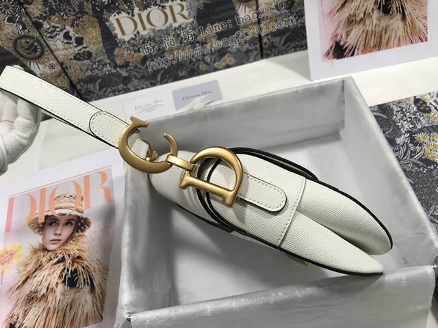 Dior女包 迪奧大號掌紋馬鞍包 Dior手提肩背包  dfk1796